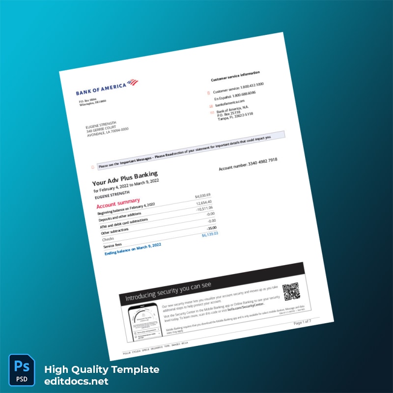 USA Bank of America Account Statement Template in Word and PDF formats