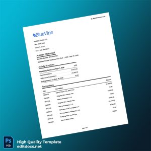 USA Bluevine Bank Statement Template in Word and PDF formats