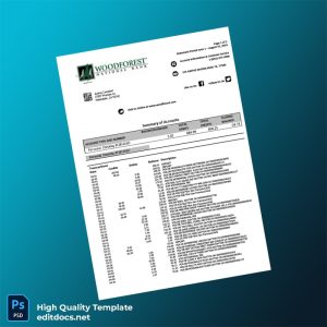 USA Woodforest Bank Statement Template in Word and PDF formats
