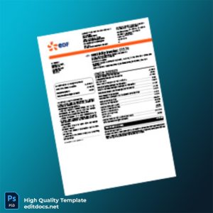 United Kingdom EDF Energy Editable Electricity Bill Template in Word and PDF formats