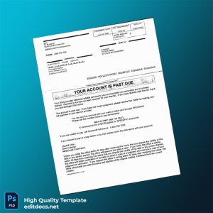 United States AmerenIP Editable Utility Bill Template in Word and PDF formats