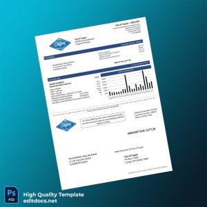 United States City Of Casper Editable Water Bill Template in Word and PDF formats