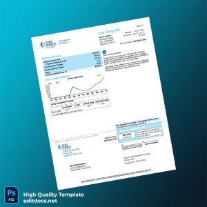 United States Duke Energy Editable Electricity Bill Template in Word and PDF formats