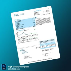 United States Duke Energy Editable Utility Bill Template in Word and PDF formats