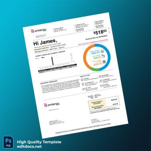 United States Entergy Louisiana Editable Utility Bill Template in Word and PDF formats