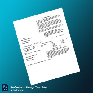 Editable United States Florida Vehicle Registration Certificate Template (Word&PDF) Page Preview - EditDocs