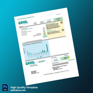 United States Idaho Power Editable Utility Bill Template in Word and PDF formats