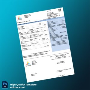 United States Memphis Light Gas And Water Division Editable Electricity Bill Template in Word and PDF formats