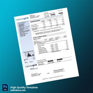 United States National Grid Editable Utility Bill Template in Word and PDF formats