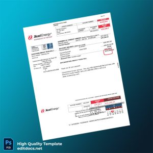 United States Northern States Power Company Editable Utility Bill Template in Word and PDF formats