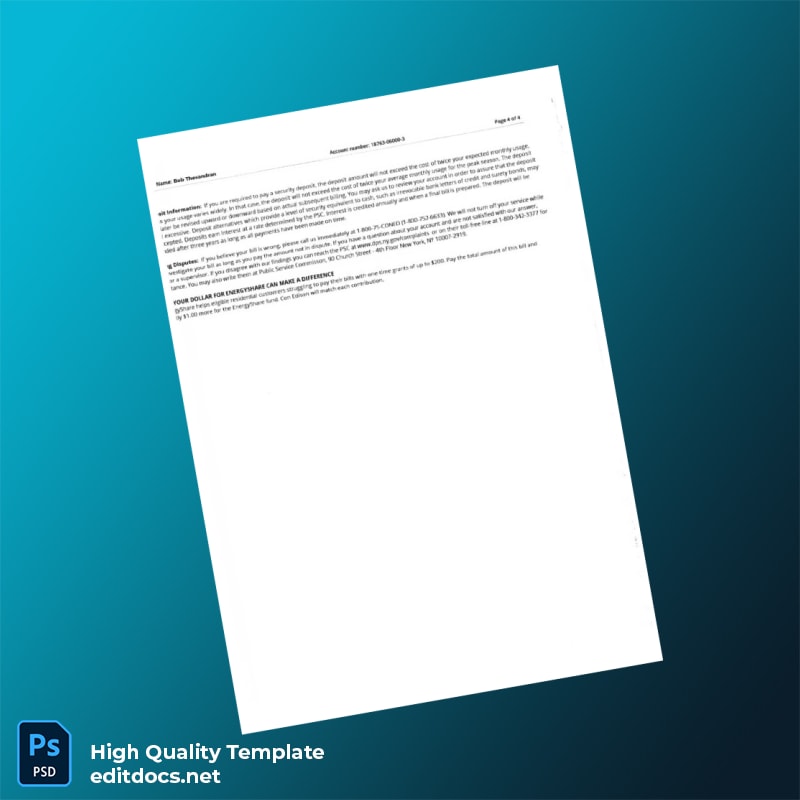 United States Not Specified Editable Utility Bill Template in Word and PDF formats page 4