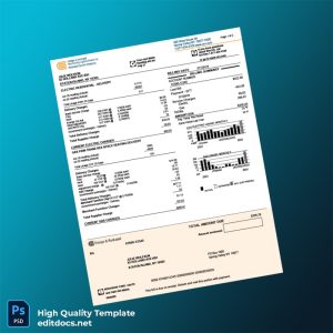 United States Orange Rockland Editable Utility Bill Template in Word and PDF formats