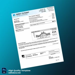 United States PG E Editable Bank Statement Template in Word and PDF formats