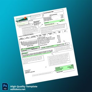 United States Trinity PUD Editable Utility Bill Template in Word and PDF formats