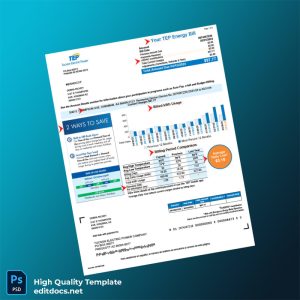 United States Tucson Electric Power Editable Utility Bill Template in Word and PDF formats