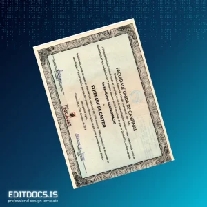 Editable Brazil UNICAMP Bachelor of Administration Template Page Preview - EditDocs