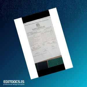 Editable India Master Polytechnic Srinagar Three Years Diploma in Civil Engineering Template Page Preview - EditDocs