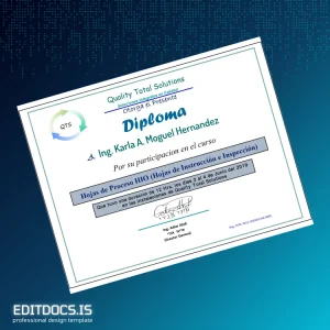 Editable Mexico Quality Total Solutions Participation Diploma in HIO Process Sheets Page Preview - EditDocs