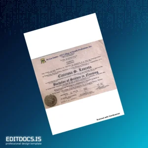 Editable Philippines De Los Santos - STI College of Health Professions Bachelor of Science in Nursing Template Page Preview - EditDocs