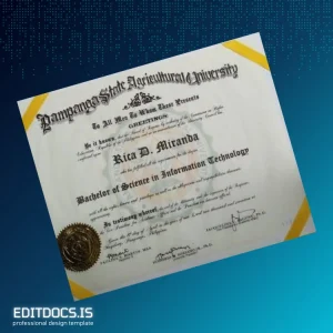 Editable Philippines Pampanga State Agricultural University Bachelor of Science in Information Technology Template Page Preview - EditDocs