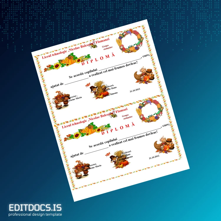 Editable Romania Liceul Tehnologic Nicolae Balcescu Flamazi Diploma Template Page Preview - EditDocs