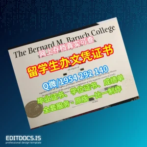 Editable USA Bernard M. Baruch College Bachelor of Arts Template Page Preview - EditDocs