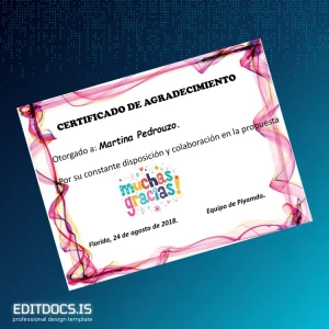 Editable USA Piyamda Certificate of Appreciation Template Page Preview - EditDocs